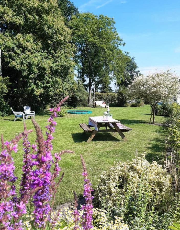 B&B Het Klontje Vriescheloo Extérieur photo